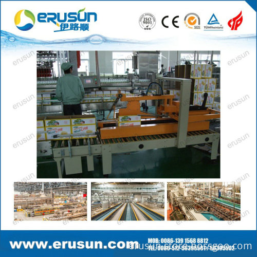 Carton Box Sealer